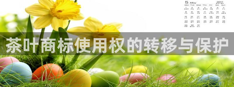焦作鸿运团体直播平台
