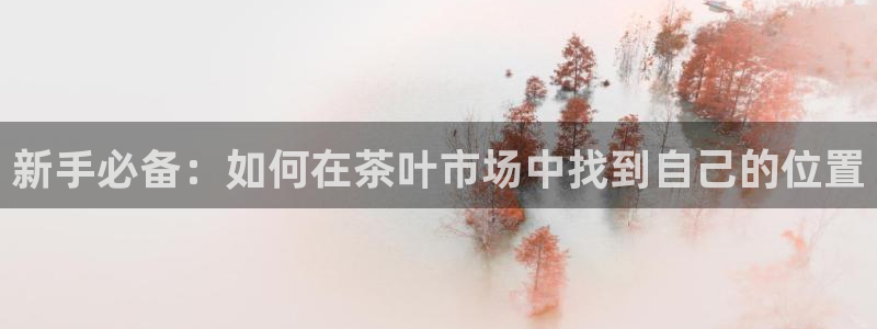 鸿运彩票平台