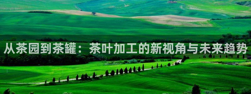 鸿运国际游戏平台
