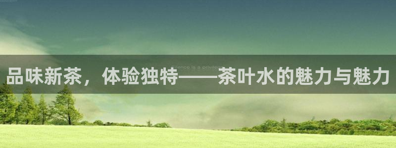 鸿运最佳网投平台