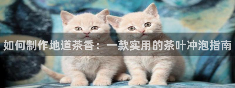 鸿运市场直播平台