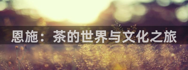 鸿运来补单平台