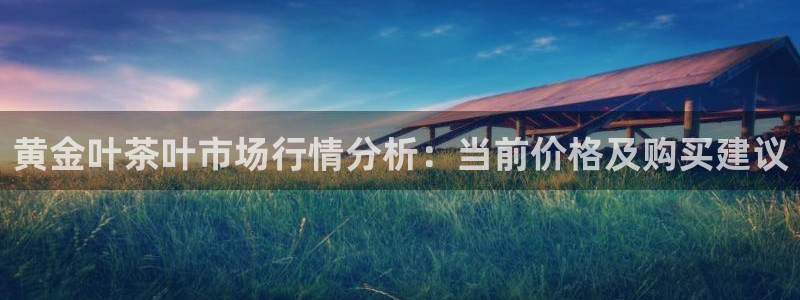 鸿运到平台被骗