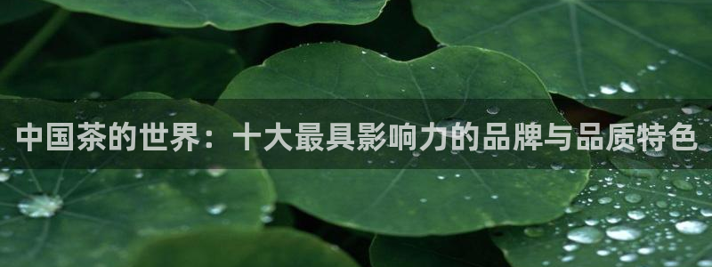 鸿运彩缘平台