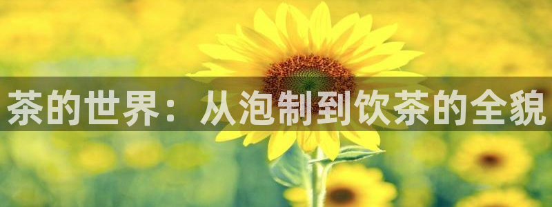 鸿运平台骗局曝光案例