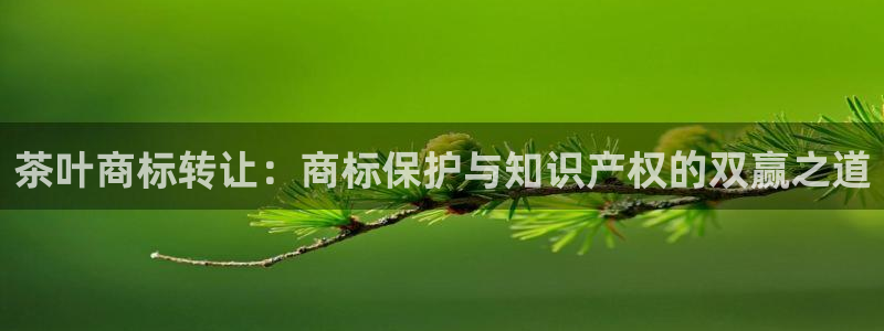 鸿运体育在线平台
