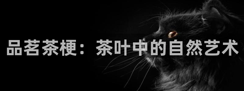 鸿运彩票平台正规吗