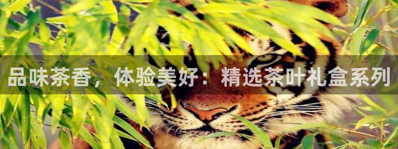 鸿运商滴管理平台