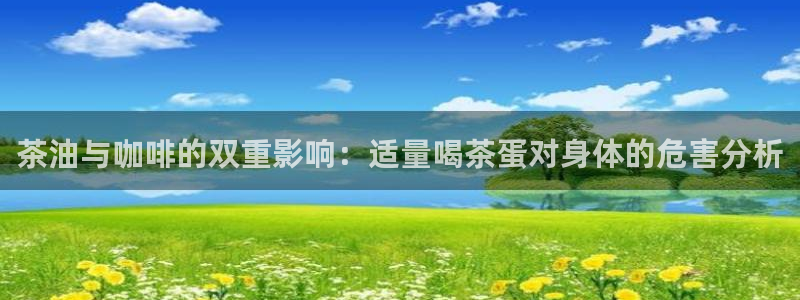 琥珀鸿运平台怎样赚钱的