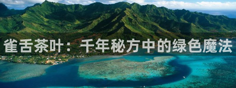 鸿运外贸直播平台