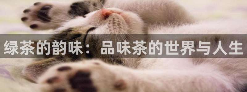 鸿运平台诈骗电话