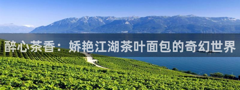 鸿运游戏棋牌平台