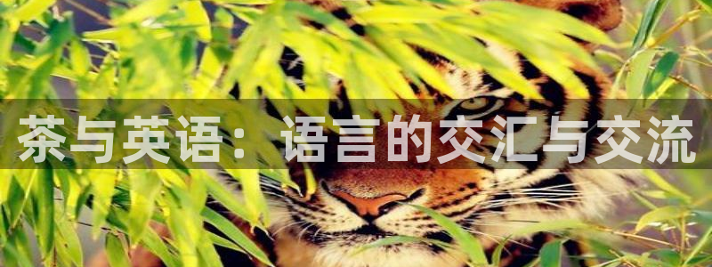 鸿运彩票平台下载