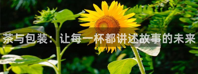 鸿运平台注册流程