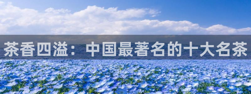 鸿运彩 票诈骗平台