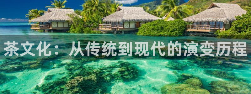 鸿运菜瞟平台