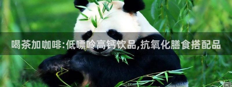 鸿运注册平台官网
