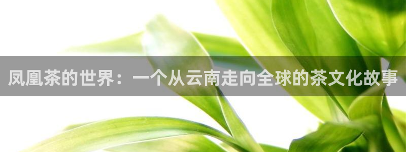 鸿运平台兼职