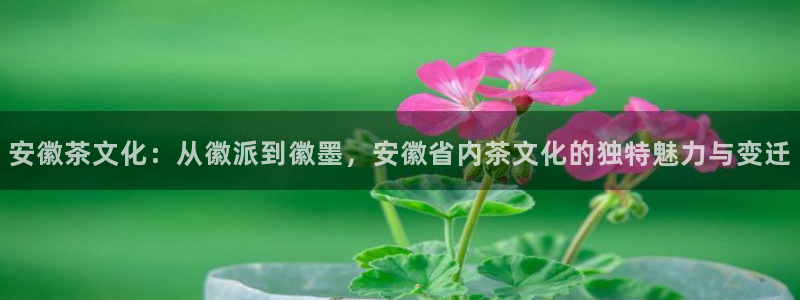 鸿运快三计划平台