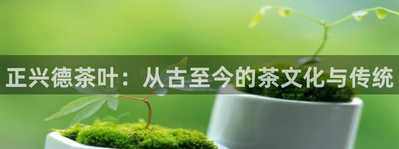 鸿运棋牌平台