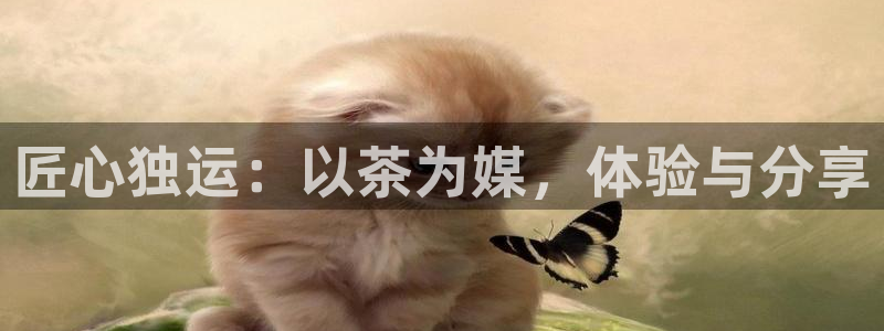 鸿运国际平台平台介绍