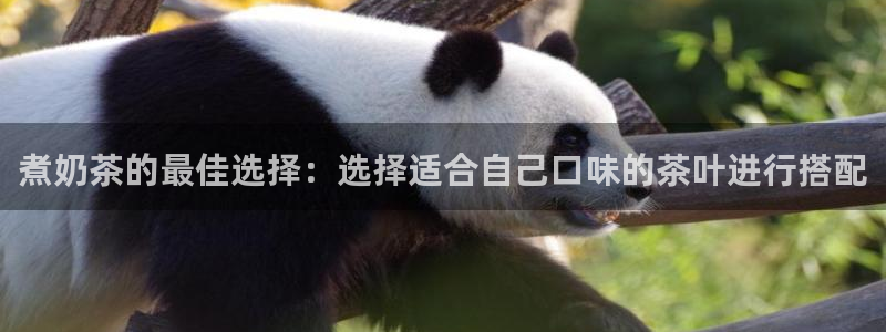 鸿运平台是大平台