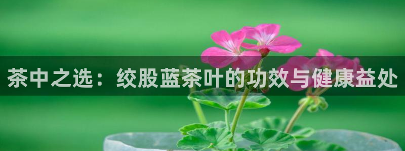 鸿运网络麻将平台