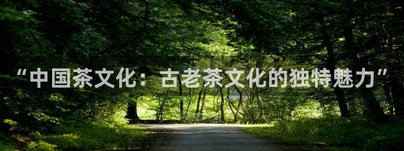 鸿运市场直播平台