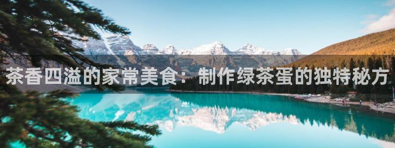 鸿运权威彩票平台