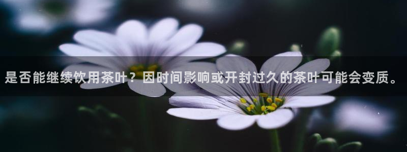 鸿运对战平台