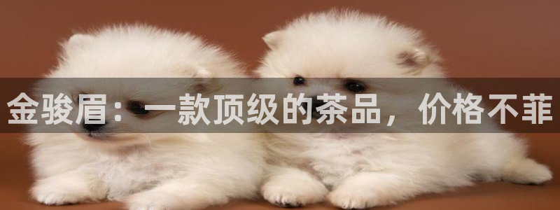鸿运商滴管理平台