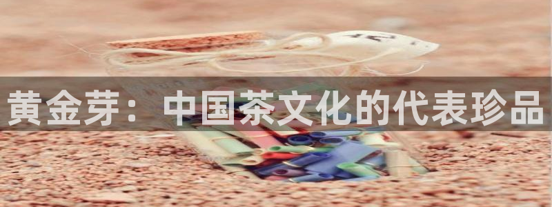 鸿运国际外汇平台