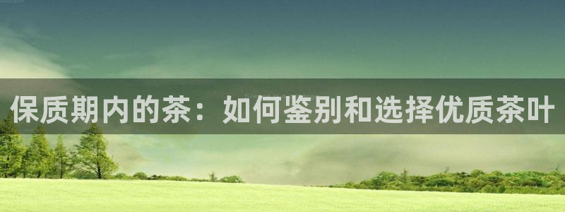 鸿运公司有哪些平台