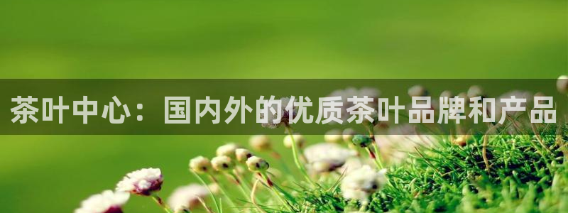鸿运福彩平台