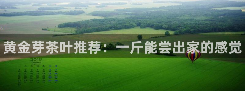 鸿运国际平台登录