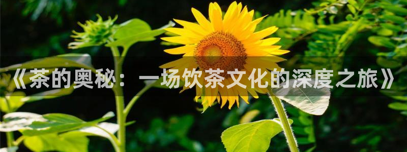 下载鸿运直播平台