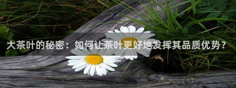 鸿运布艺团购平台