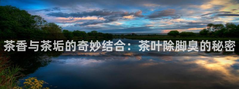 鸿运策略股票平台