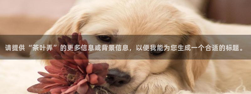 鸿运直播平台