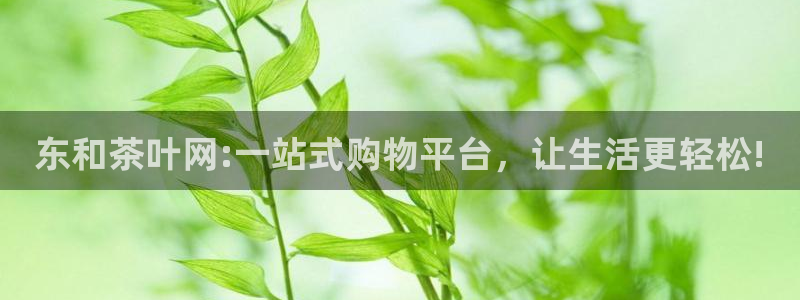 鸿运集团平台招聘要求
