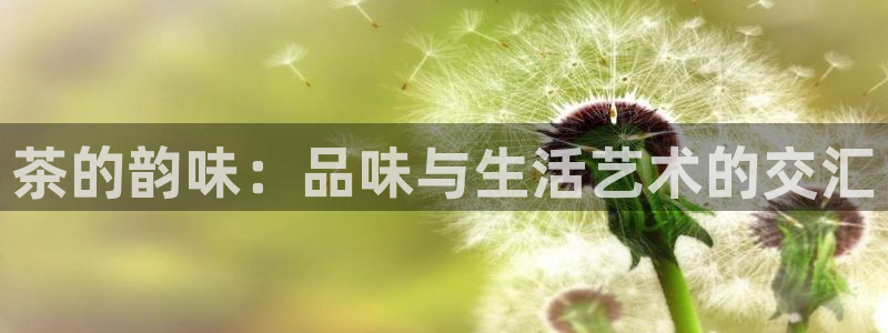 鸿运国际平台台