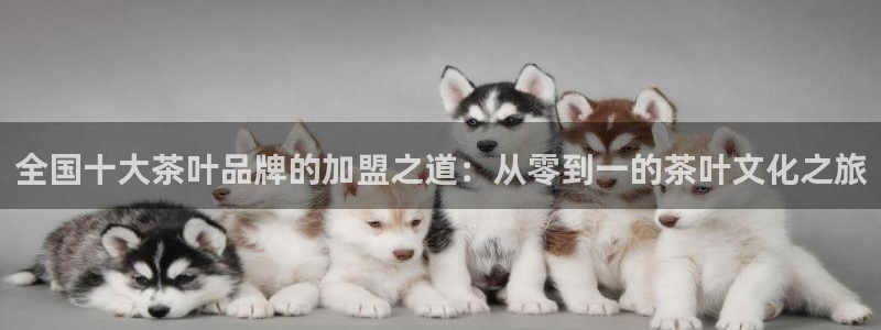 鸿运彩票网络平台官网