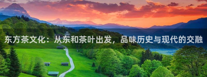 鸿运平台推荐