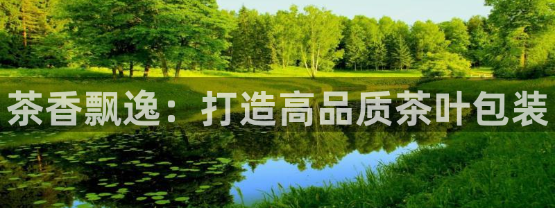 鸿运国际黑平台