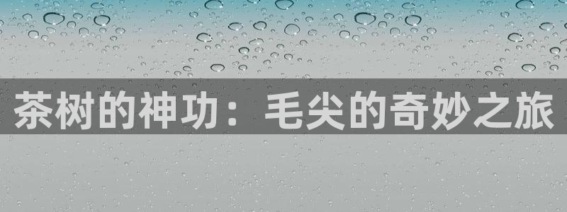 鸿运彩票app平台