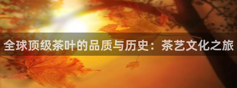 鸿运商旅平台