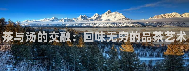 鸿运合拍字画拍卖平台