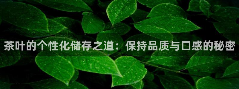 鸿运手机棋牌平台