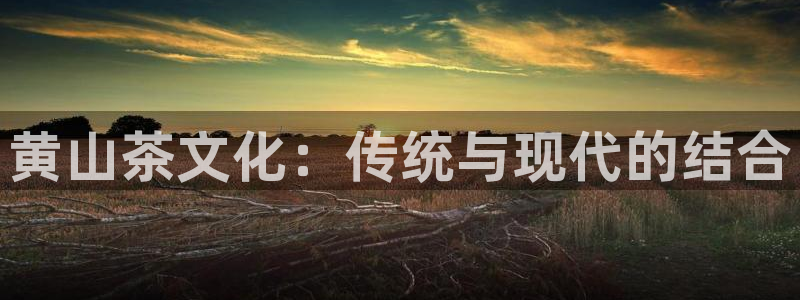 鸿运彩票平台登录不了