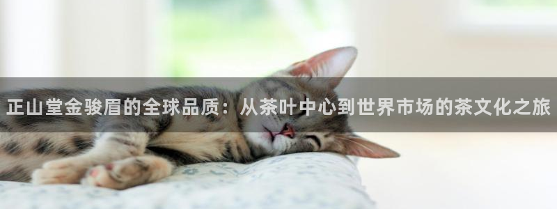 鸿运平台充值